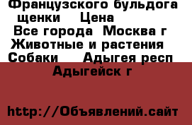 Французского бульдога щенки  › Цена ­ 35 000 - Все города, Москва г. Животные и растения » Собаки   . Адыгея респ.,Адыгейск г.